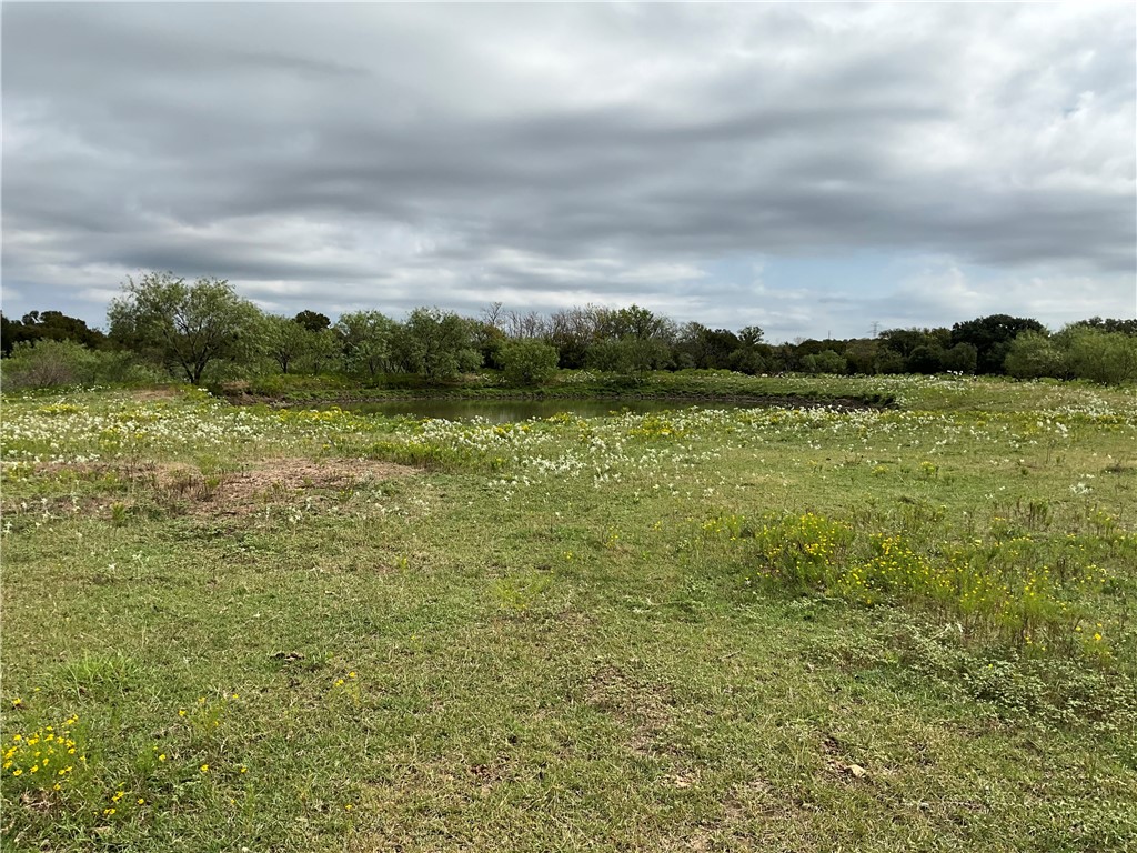 731 Hcr 2215, Aquilla, Texas image 34