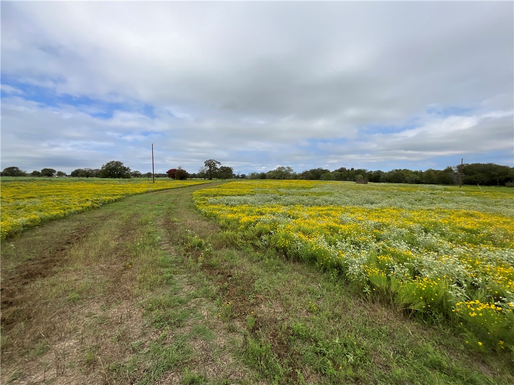 731 Hcr 2215, Aquilla, Texas image 8