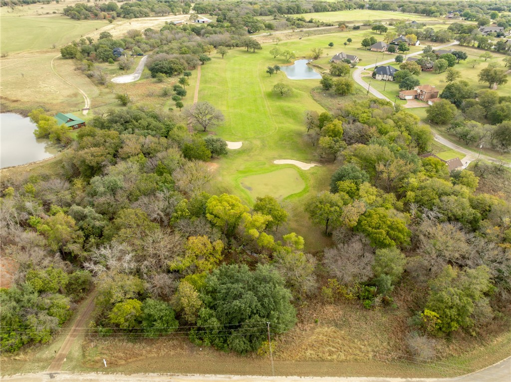 34007 Stonewood Drive, Whitney, Texas image 6