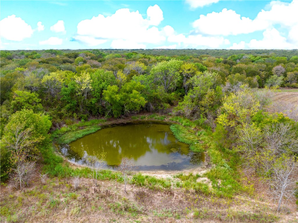 1500 Cr 102 Road, Axtell, Texas image 45