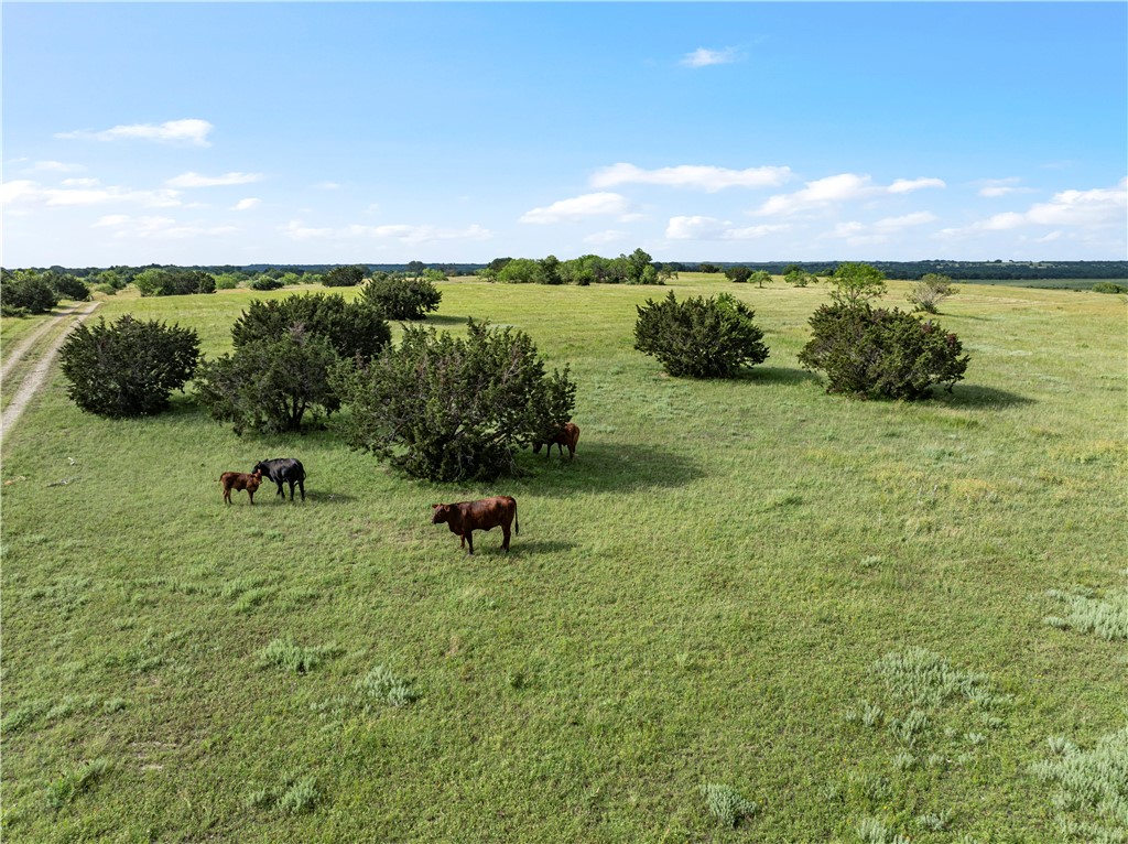 122 Cr 3512, Valley Mills, Texas image 1