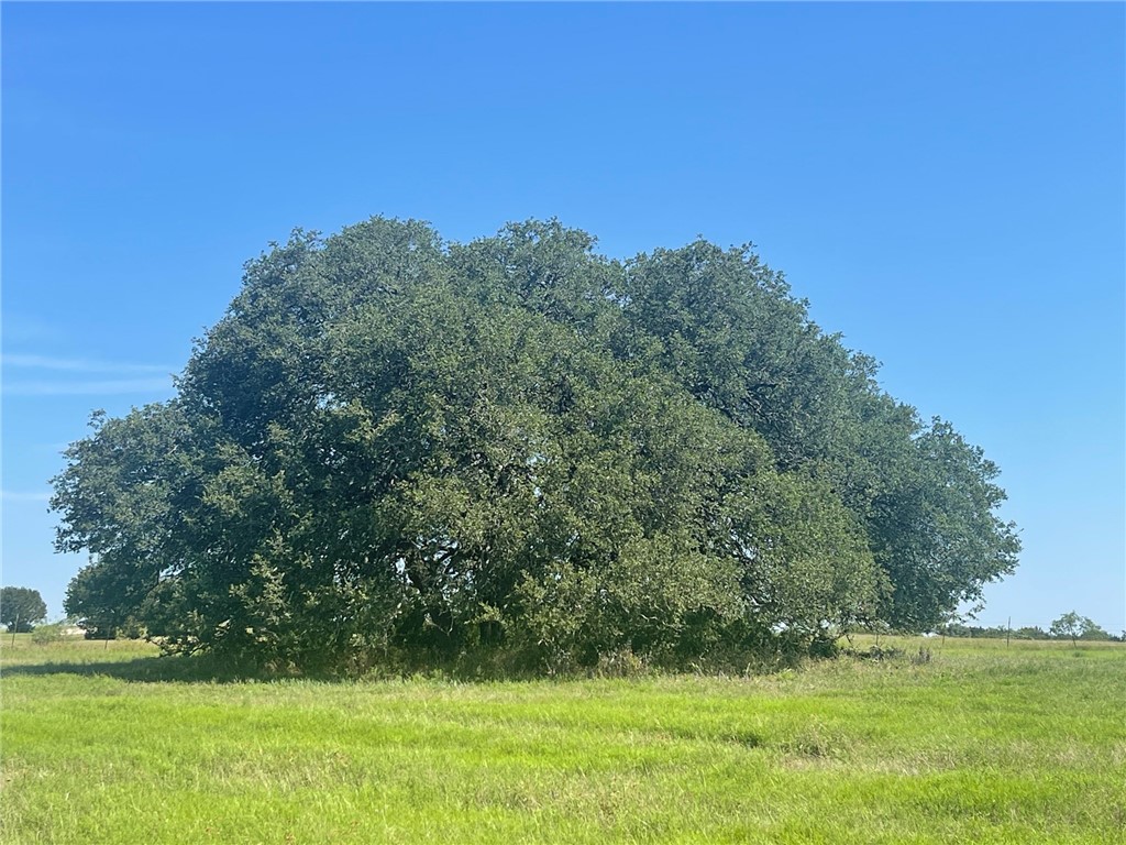 122 Cr 3512, Valley Mills, Texas image 8