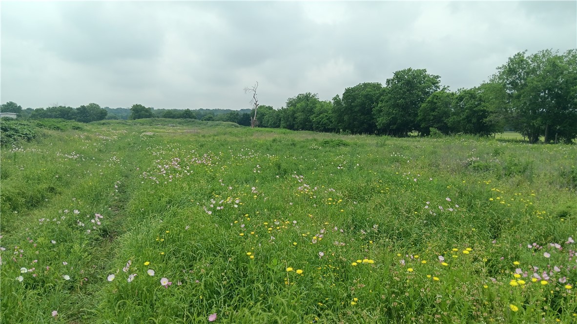 TBD Cr 494n, Chilton, Texas image 4