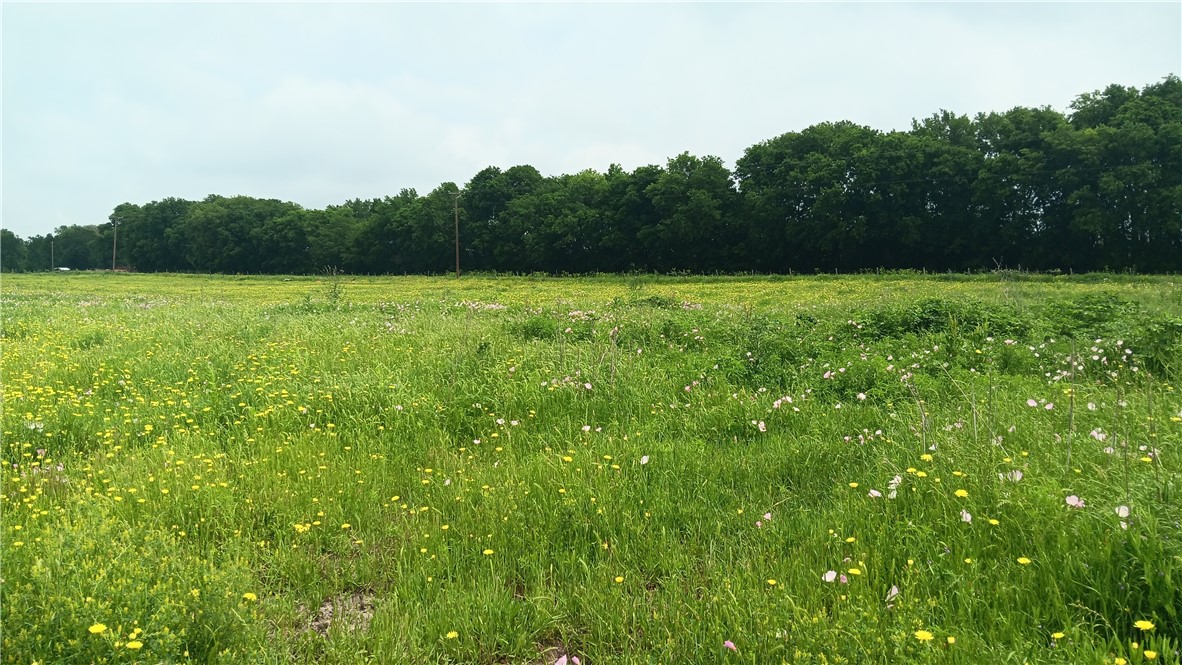 TBD Cr 494n, Chilton, Texas image 3