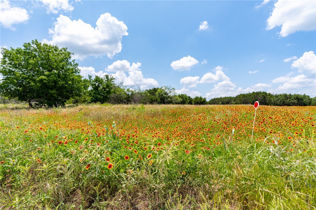 1307 Cr 2120, Meridian, Texas image 37