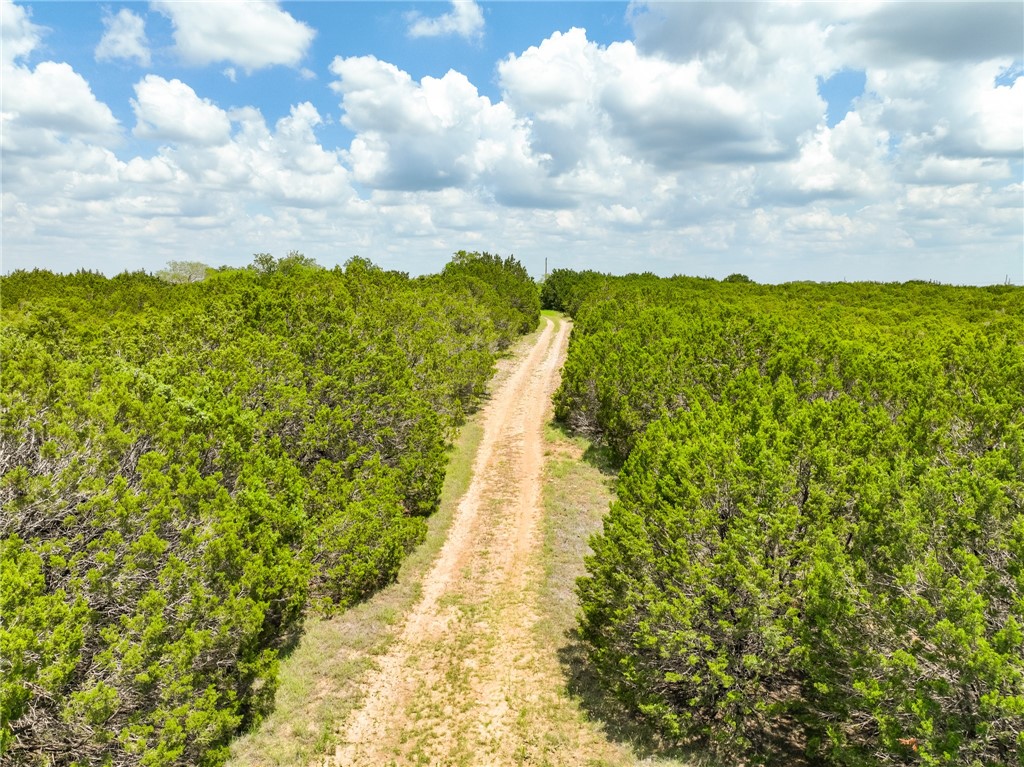 1307 Cr 2120, Meridian, Texas image 32