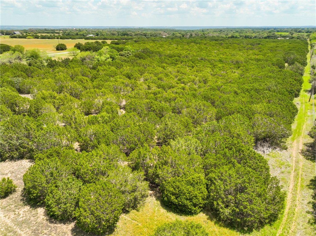 1307 Cr 2120, Meridian, Texas image 27