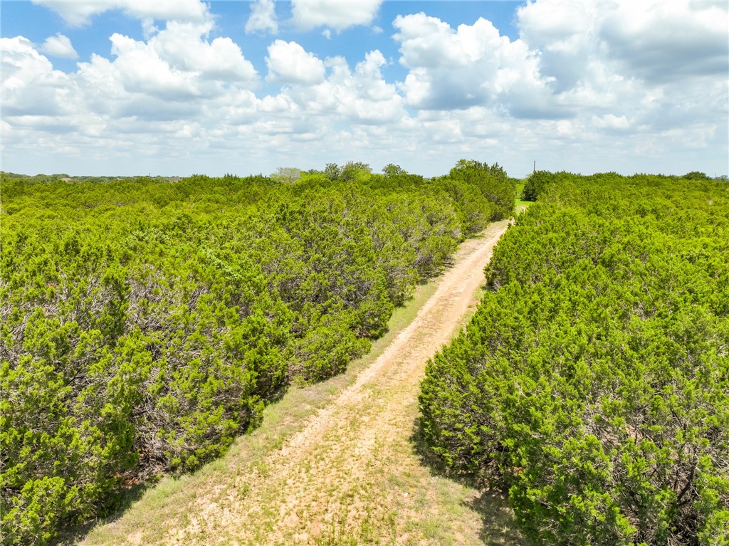 1307 Cr 2120, Meridian, Texas image 31