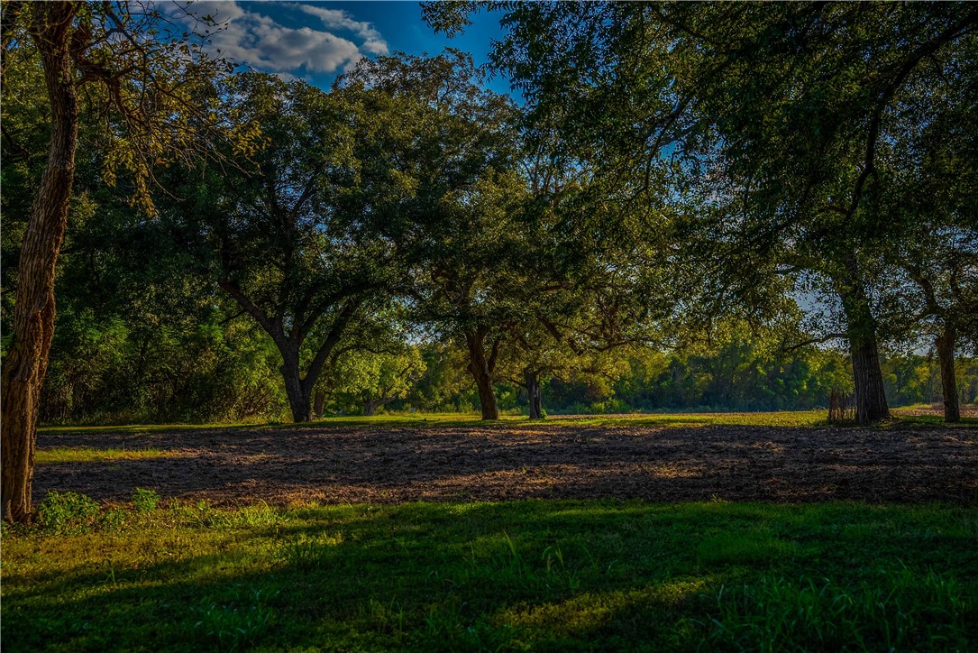 8591 Witter Lane, Temple, Texas image 44