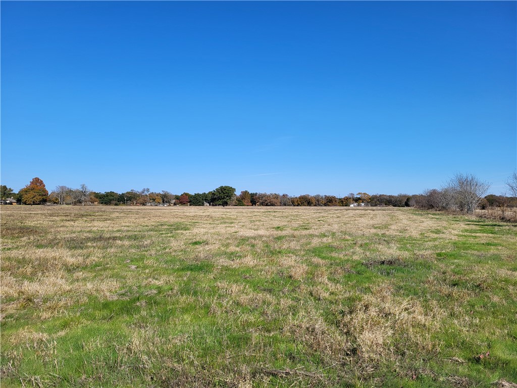 25 Acres Fm 937, Groesbeck, Texas image 5