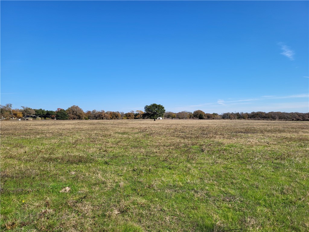 25 Acres Fm 937, Groesbeck, Texas image 2