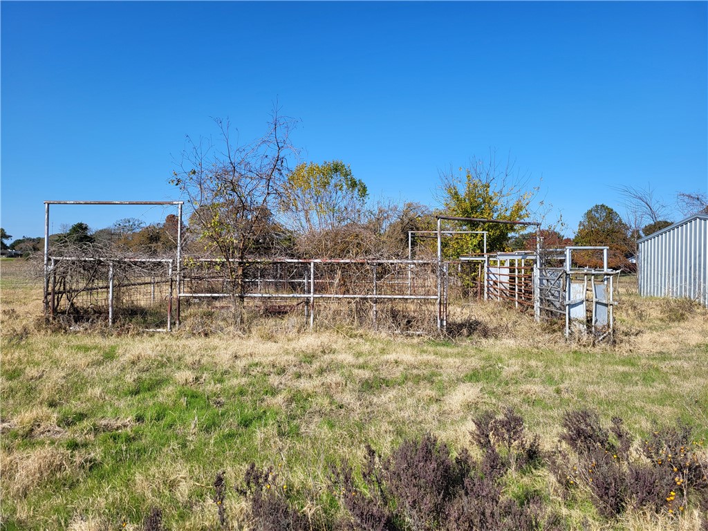 25 Acres Fm 937, Groesbeck, Texas image 7