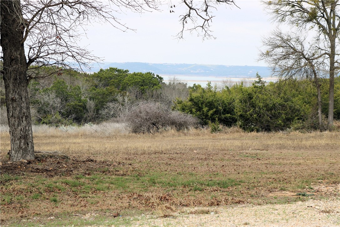 8520 Brewer Lane, Salado, Texas image 18