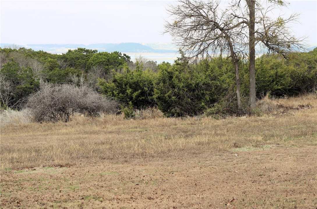 8520 Brewer Lane, Salado, Texas image 21
