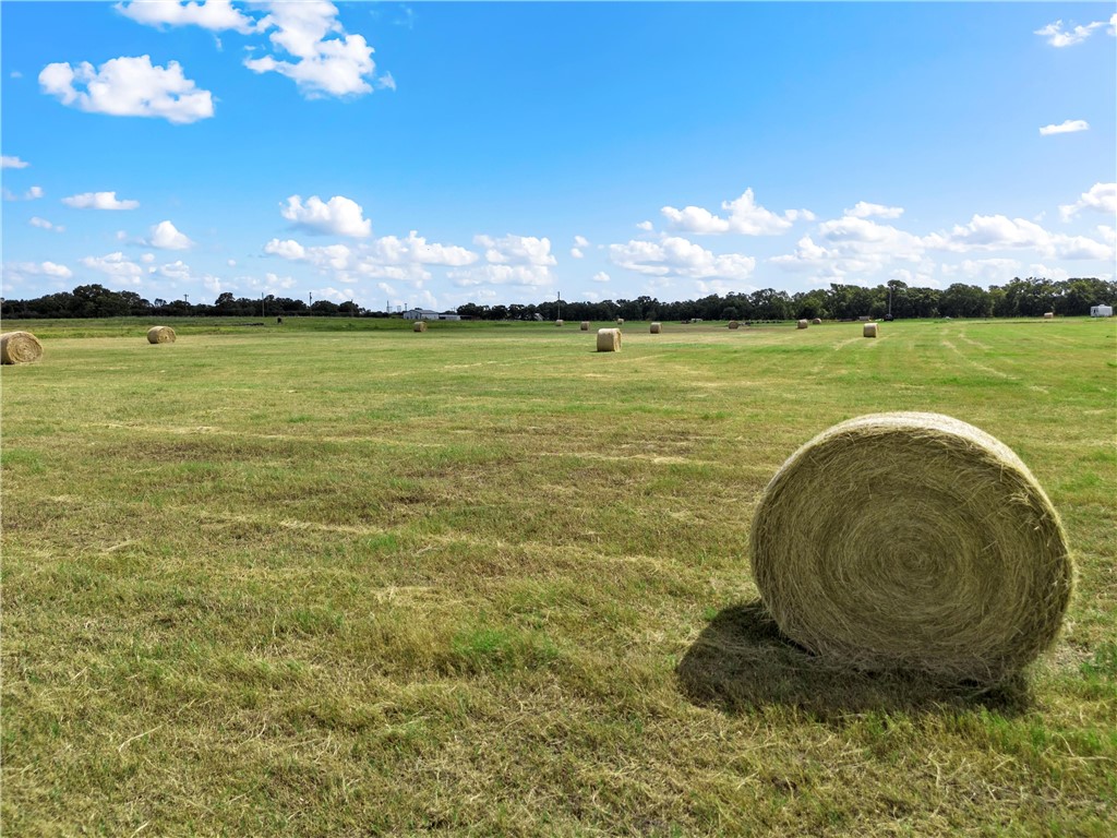 TBD Fm 1304, Aquilla, Texas image 3