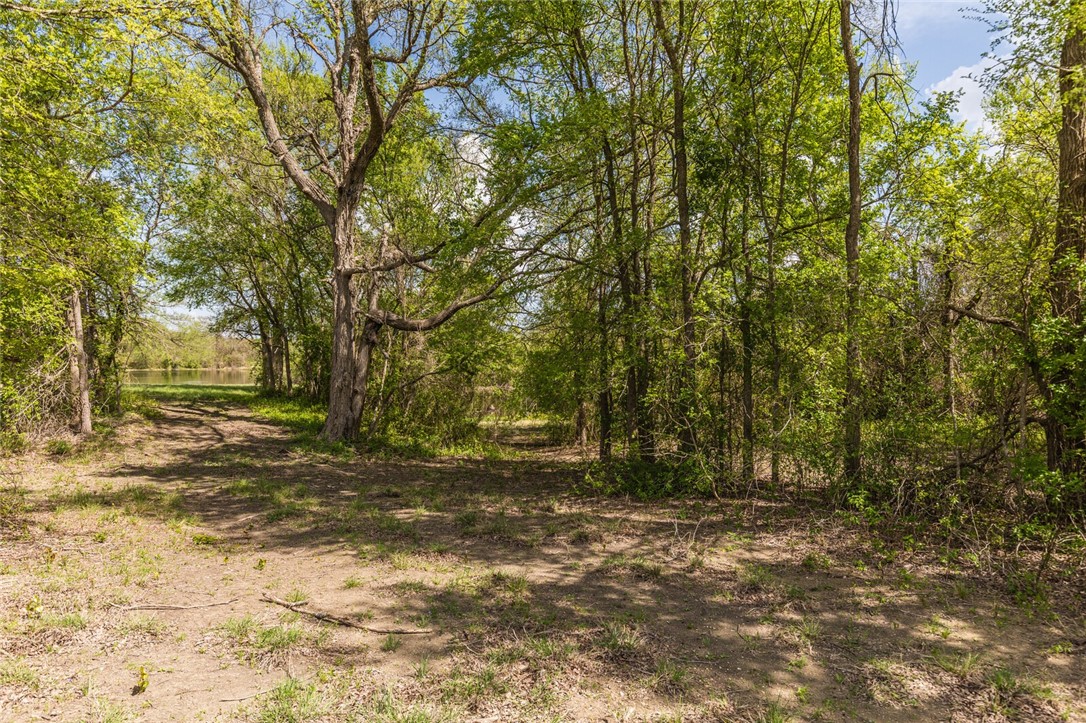 298 Remington Circle, Moody, Texas image 8