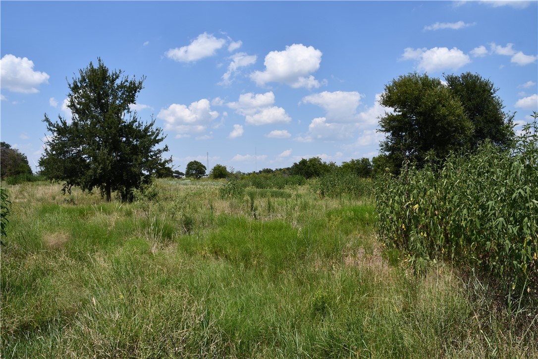 Lot 1 State Hwy 31, Mount Calm, Texas image 5