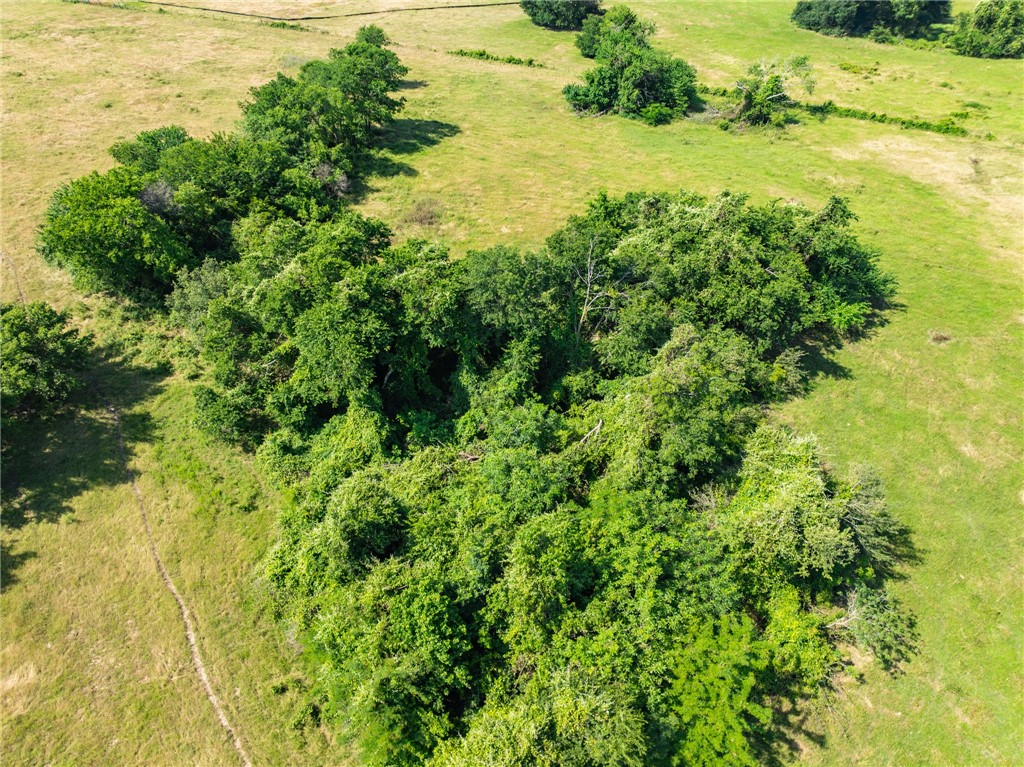 TBD Lcr 654, Thornton, Texas image 26