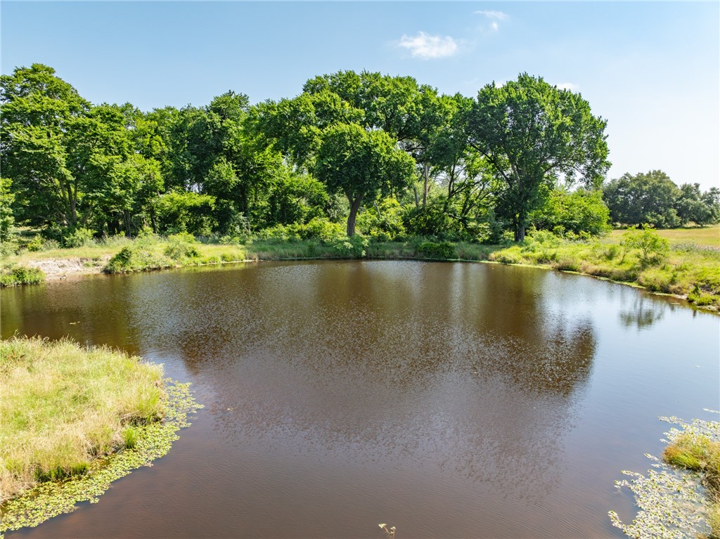 TBD Lcr 654, Thornton, Texas image 31