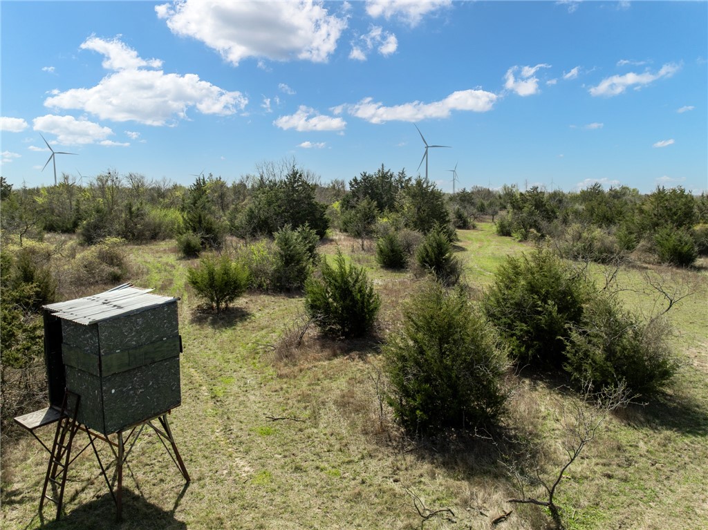 489 Cr 110 Road, Mount Calm, Texas image 35
