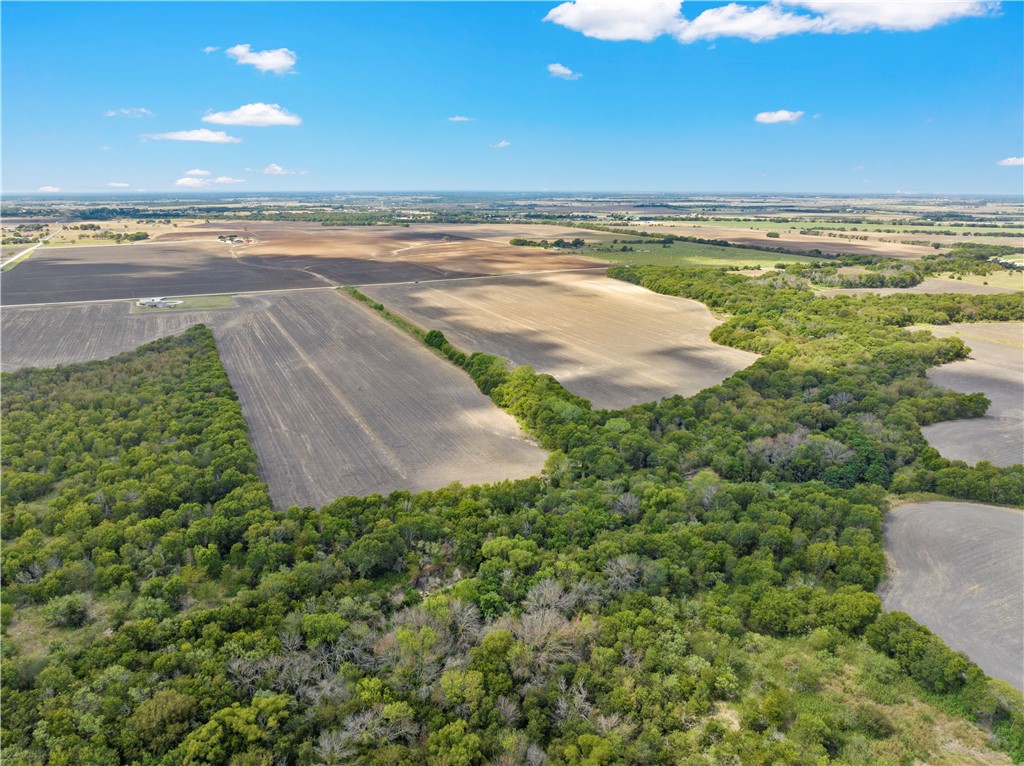 TBD Hlavenka Road, West, Texas image 5