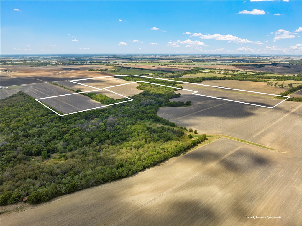 TBD Hlavenka Road, West, Texas image 3