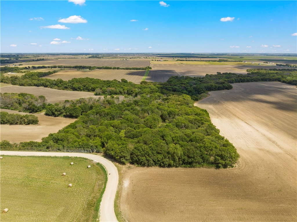 TBD Hlavenka Road, West, Texas image 10