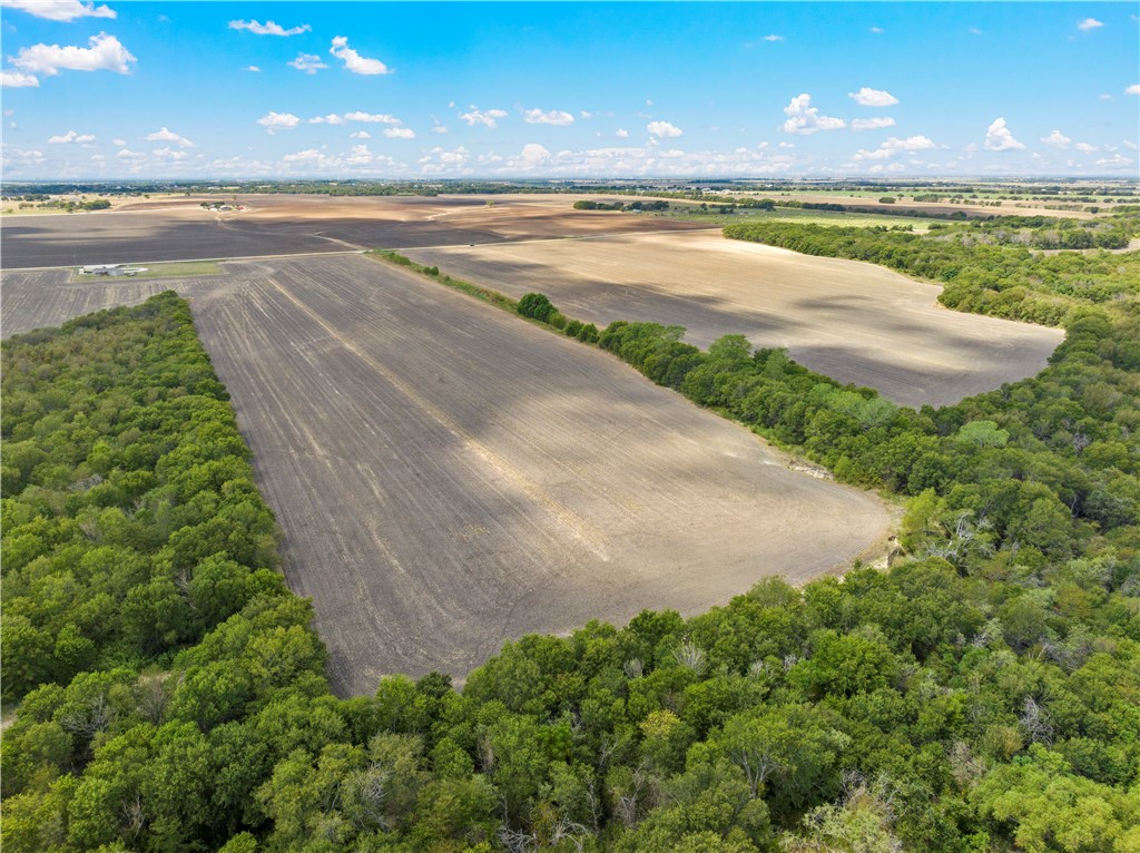 TBD Hlavenka Road, West, Texas image 6