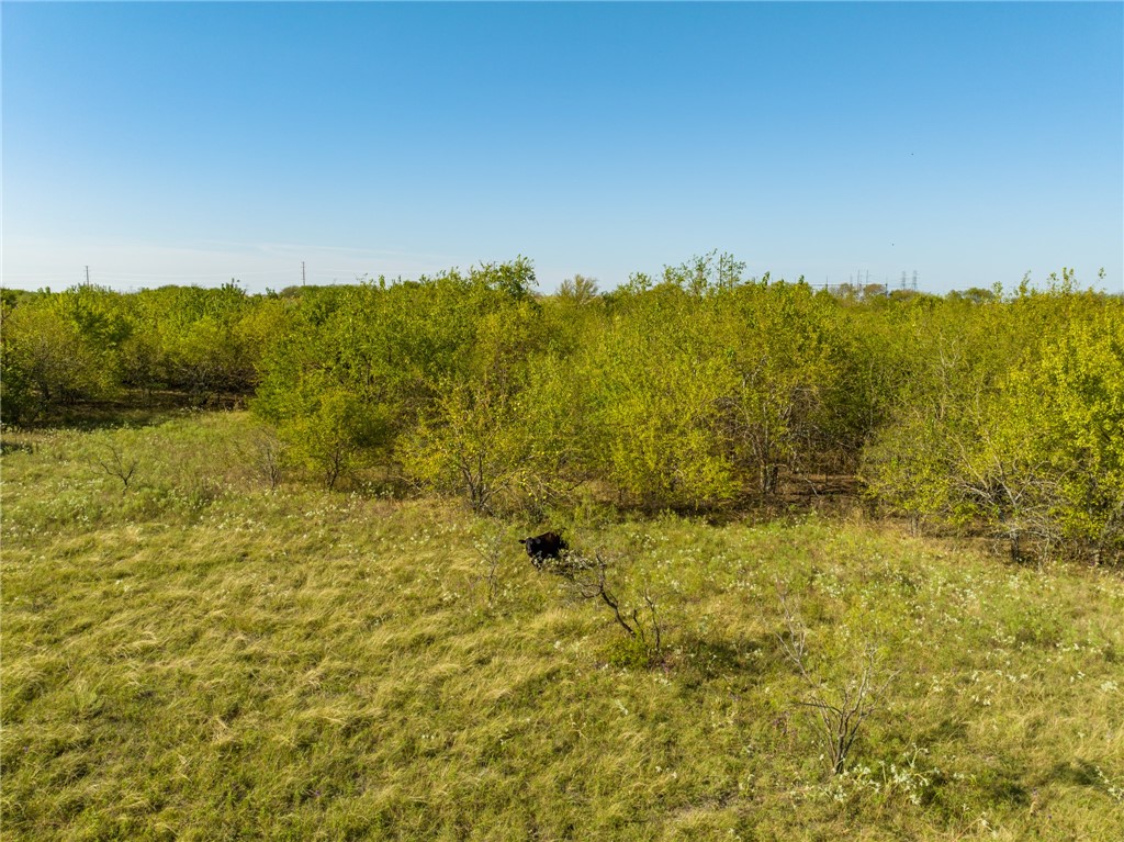 TBD Hcr 3161, Abbott, Texas image 36