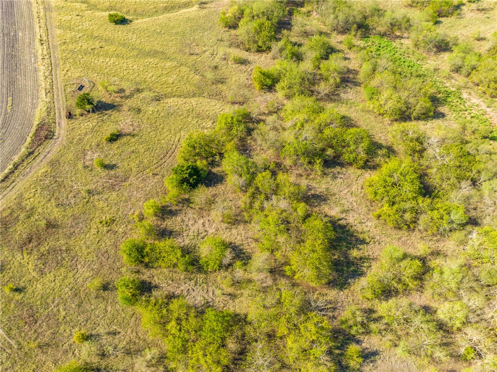 TBD Hcr 3161, Abbott, Texas image 45