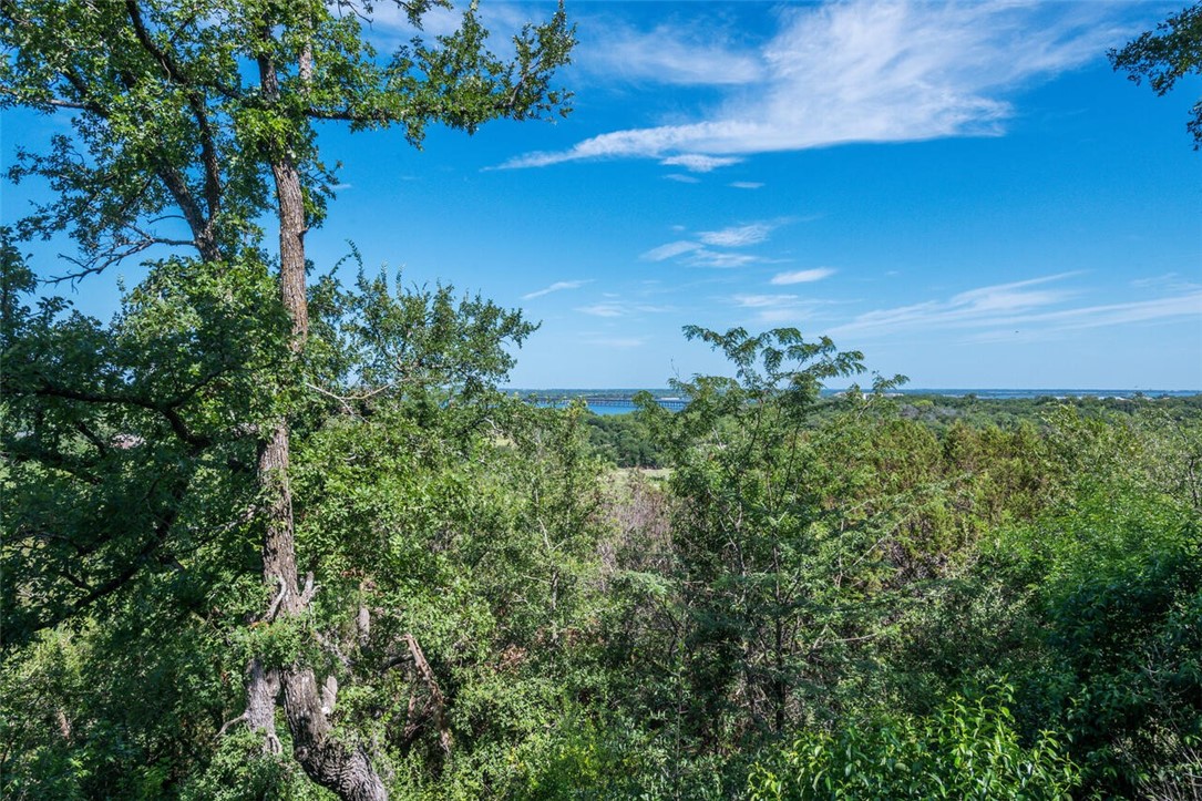 8101 Forest Ridge Drive, Woodway, Texas image 39