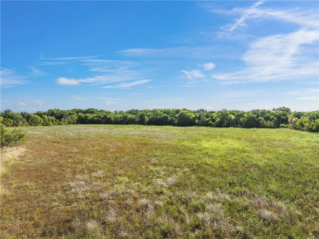 TBD State Hwy 77 Highway, Rosebud, Texas image 6