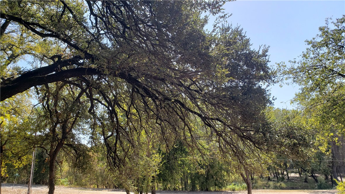 TBD Canyon Ridge Drive, Waco, Texas image 23