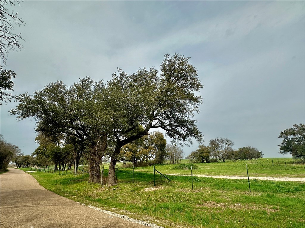 Sunset Ranch Tract 4 Cr 356 Road, Gatesville, Texas image 10