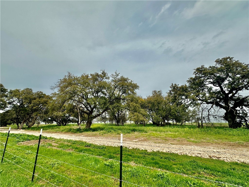 Sunset Ranch Tract 4 Cr 356 Road, Gatesville, Texas image 13