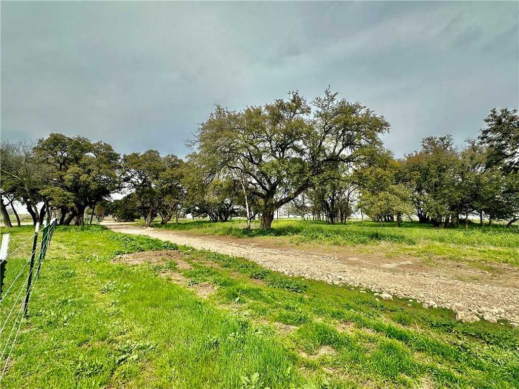 Sunset Ranch Tract 4 Cr 356 Road, Gatesville, Texas image 11