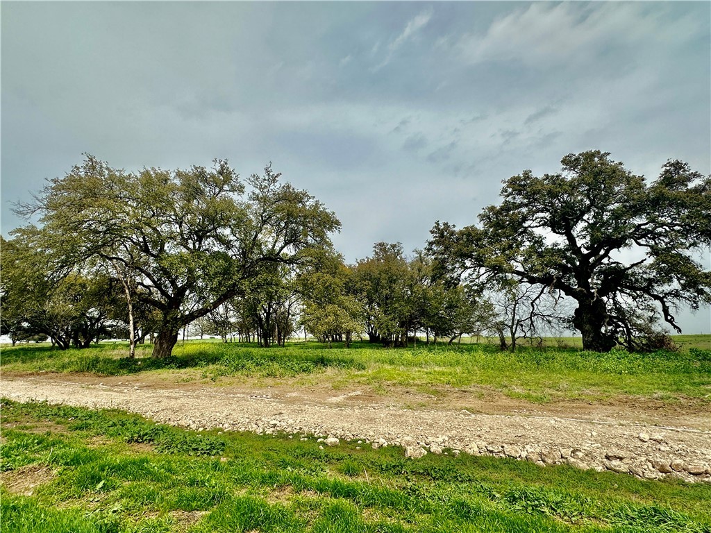 Sunset Ranch Tract 4 Cr 356 Road, Gatesville, Texas image 18