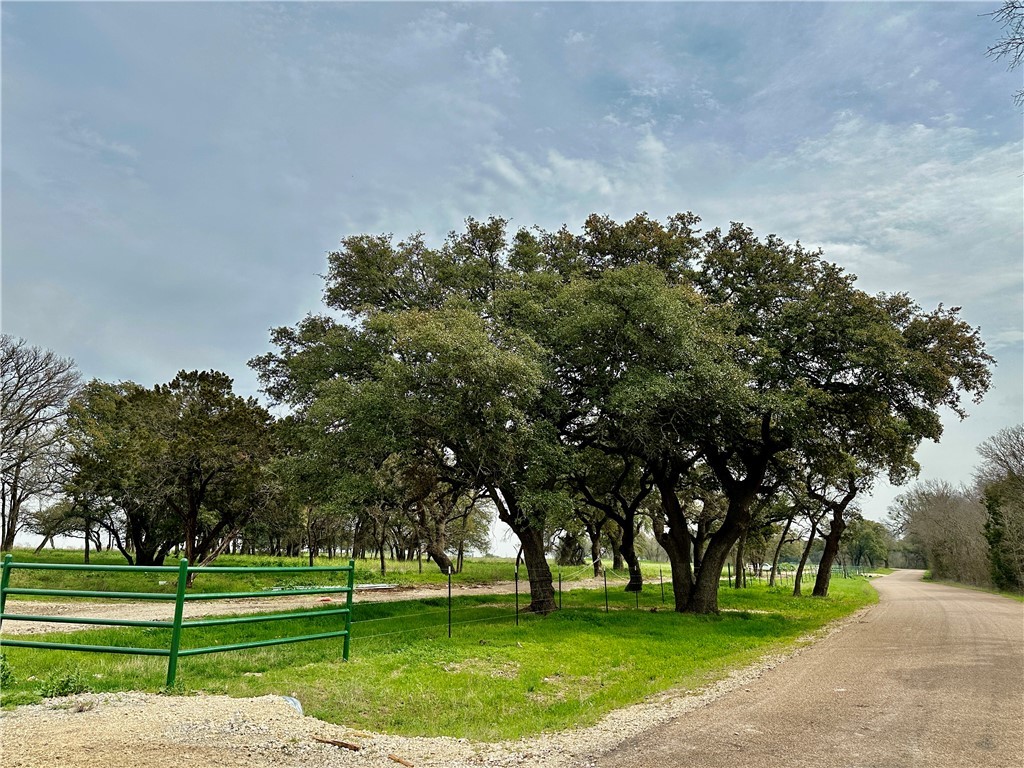 Sunset Ranch Tract 4 Cr 356 Road, Gatesville, Texas image 6