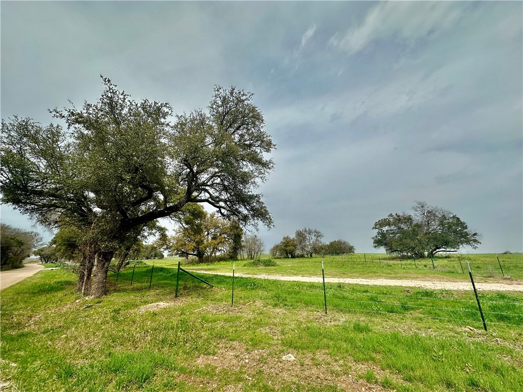 Sunset Ranch Tract 4 Cr 356 Road, Gatesville, Texas image 14