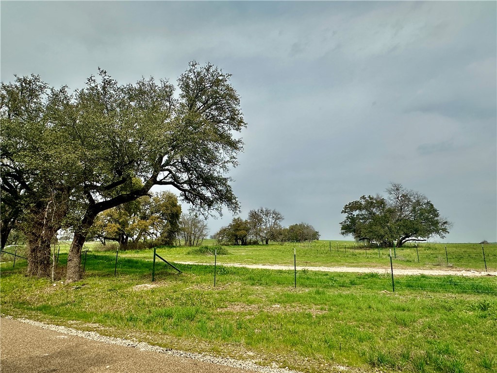 Sunset Ranch Tract 4 Cr 356 Road, Gatesville, Texas image 17