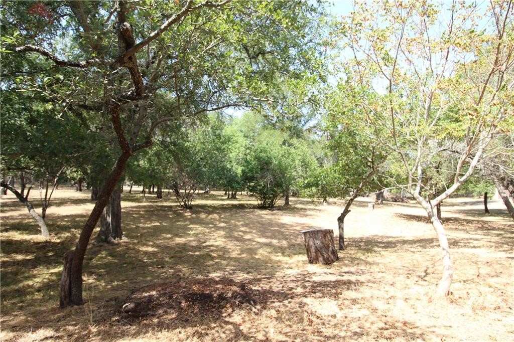 1003 Bend Of The Bosque Road, China Spring, Texas image 45