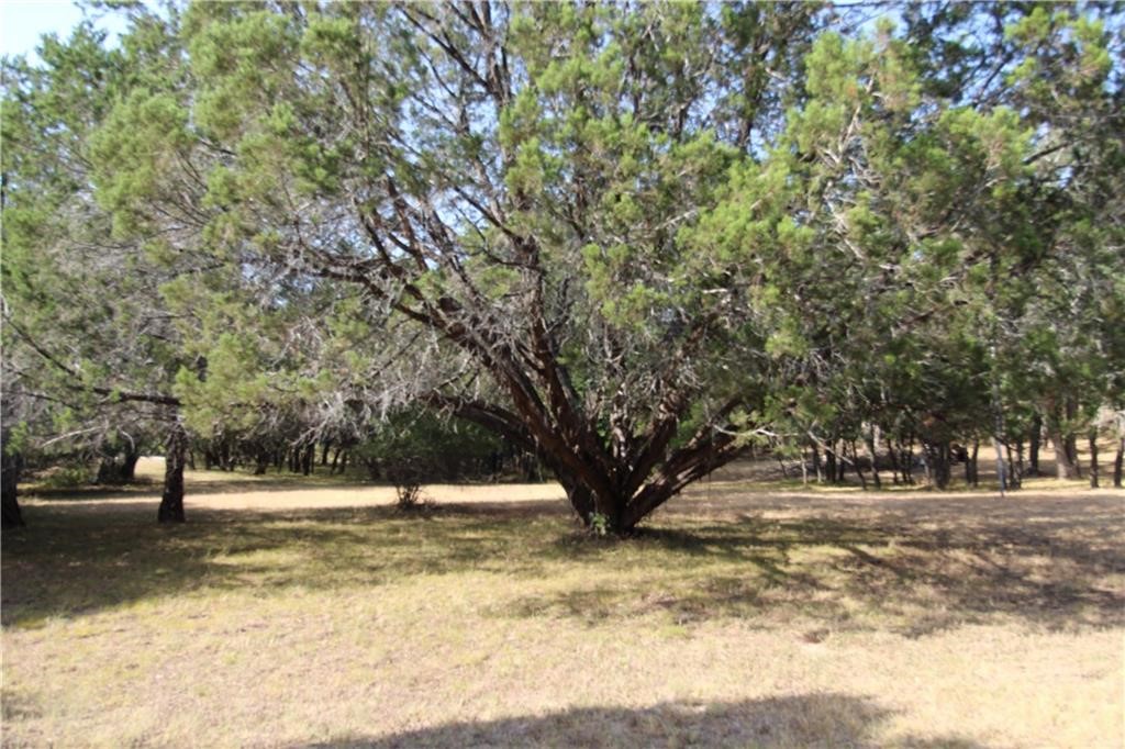 1003 Bend Of The Bosque Road, China Spring, Texas image 43