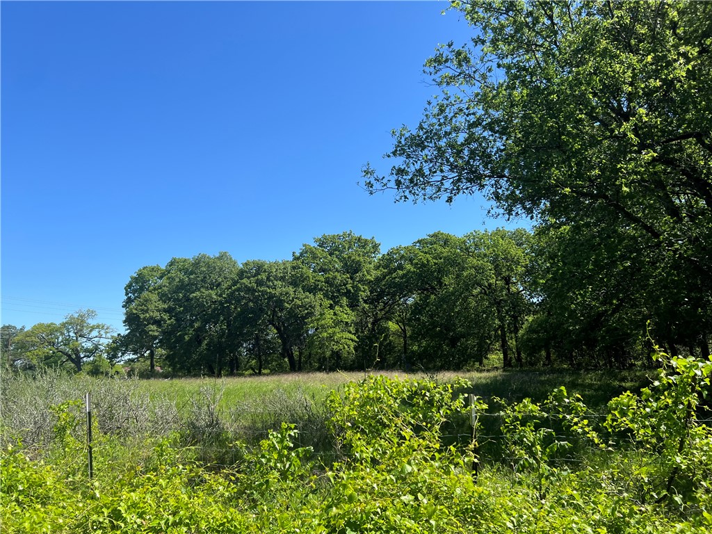 5853 Tokio Road, West, Texas image 15