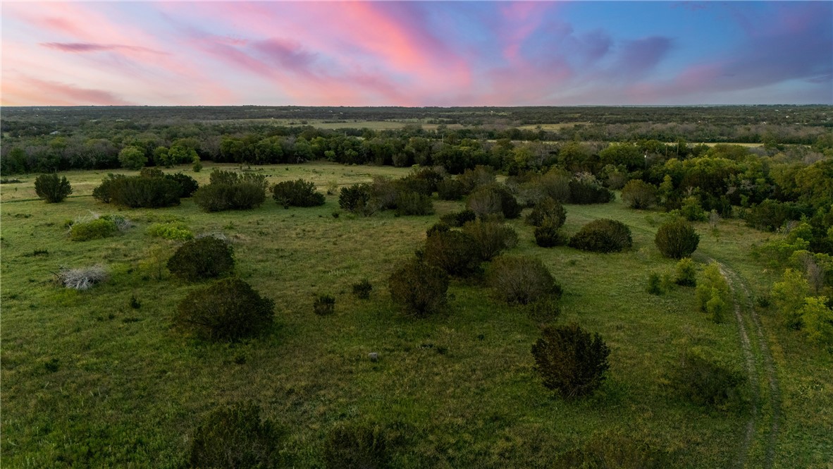 TBD Cr 133, Hico, Texas image 3