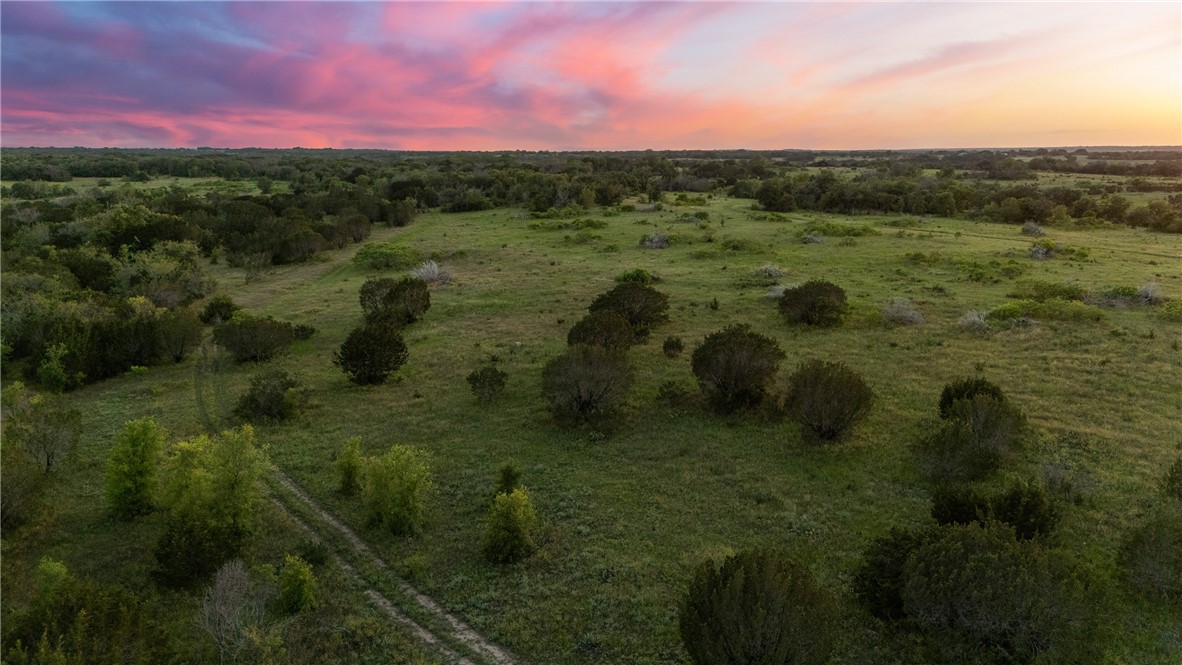 TBD Cr 133, Hico, Texas image 23