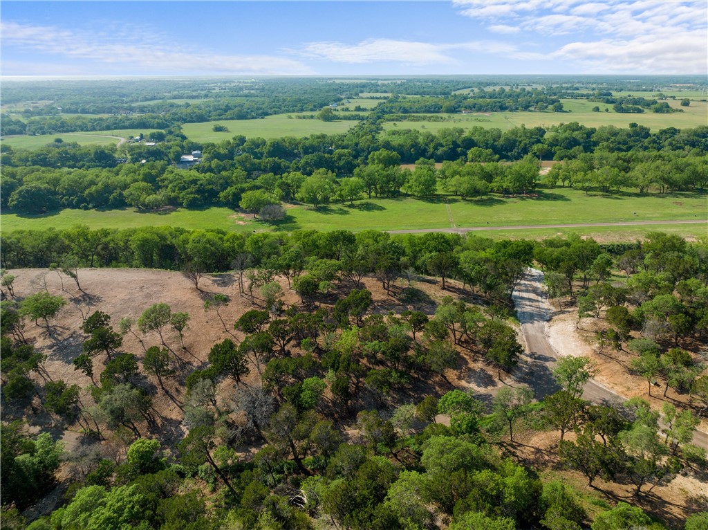 Lot 19 Riverside Drive, Aquilla, Texas image 3