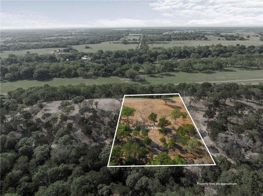 Lot 19 Riverside Drive, Aquilla, Texas image 2