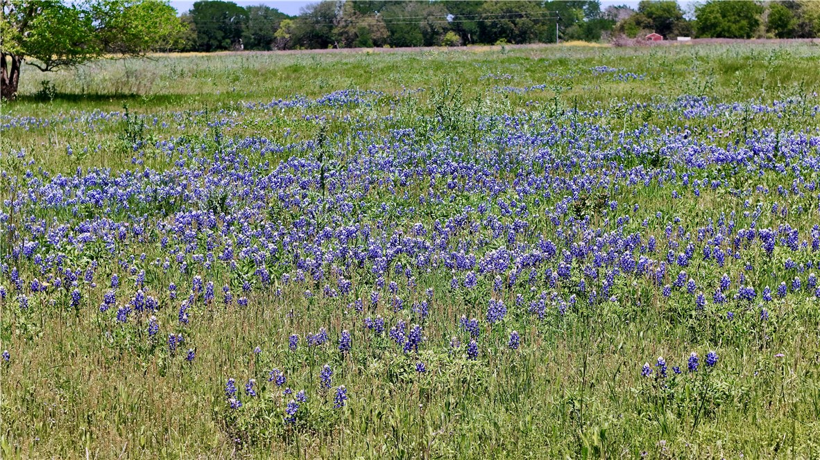 003 Cr 3310, Valley Mills, Texas image 7