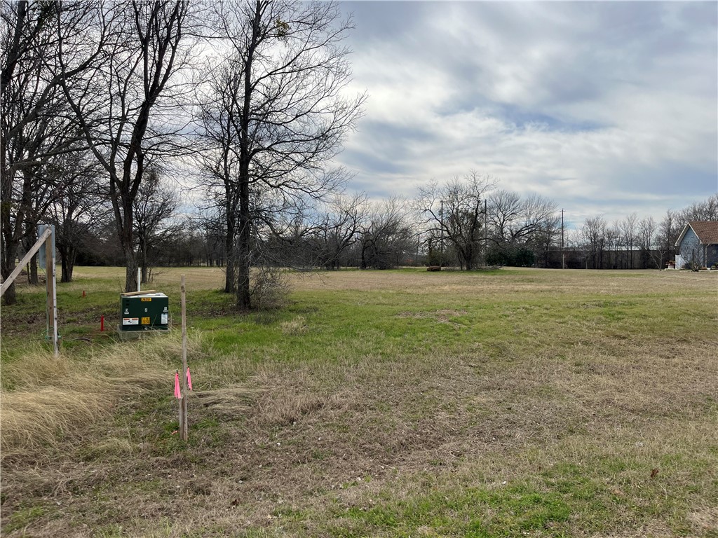 TBD Southpoint On Richland Chambers Lake, Streetman, Texas image 1