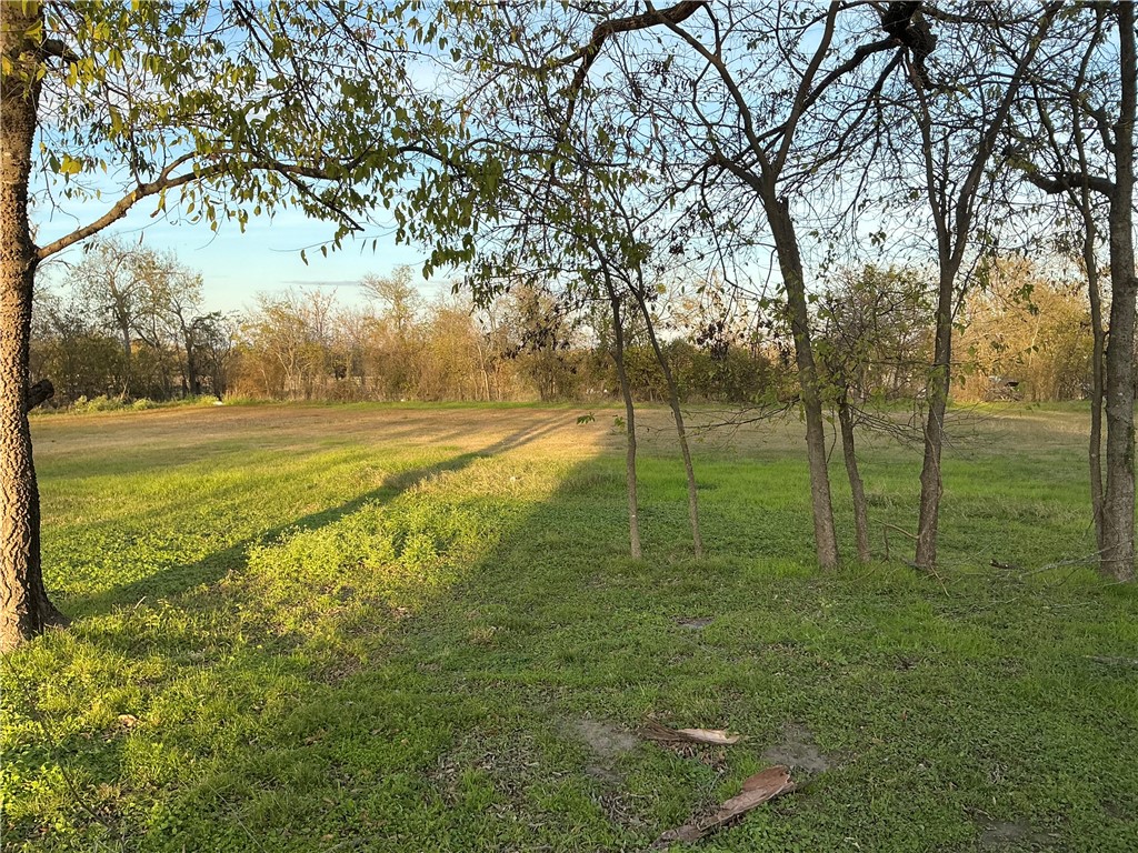 917 W Angeline Street, Groesbeck, Texas image 6